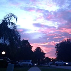 Meet your Posher, Jade